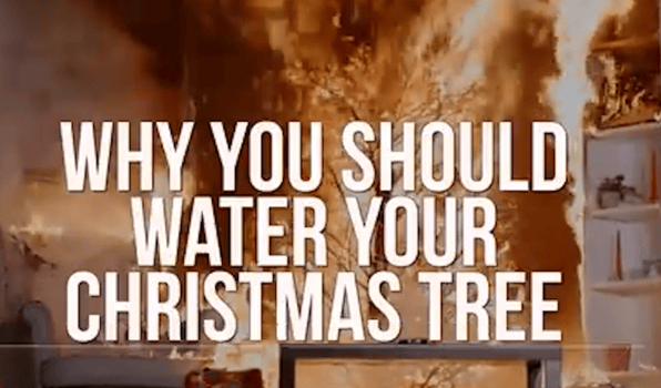 Why you should water your Christmas tree text over a fire scene