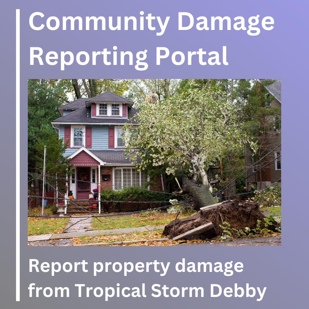 community-damage-reporting-portal.png