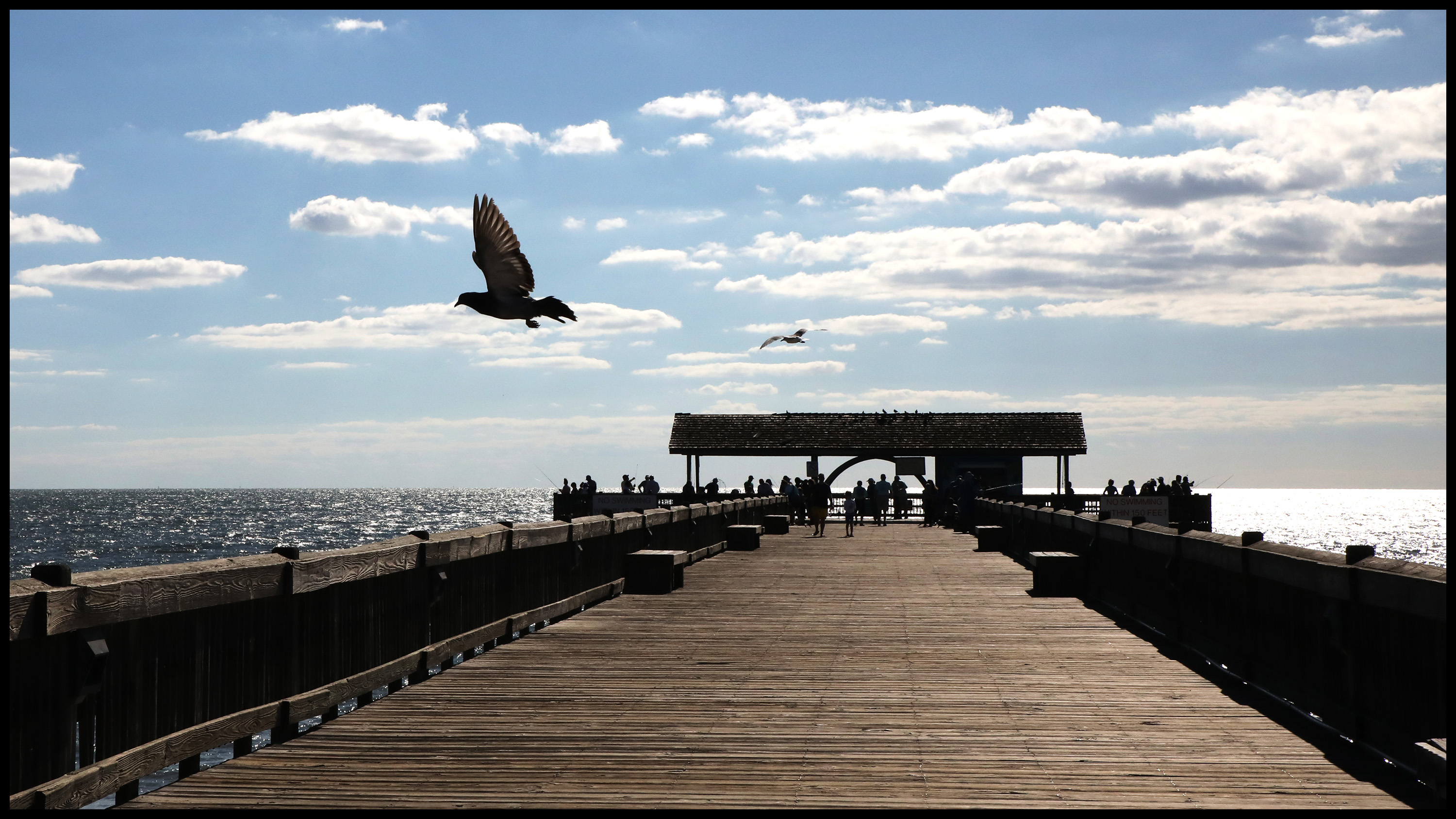 Tybee Pier banner photo.jpg