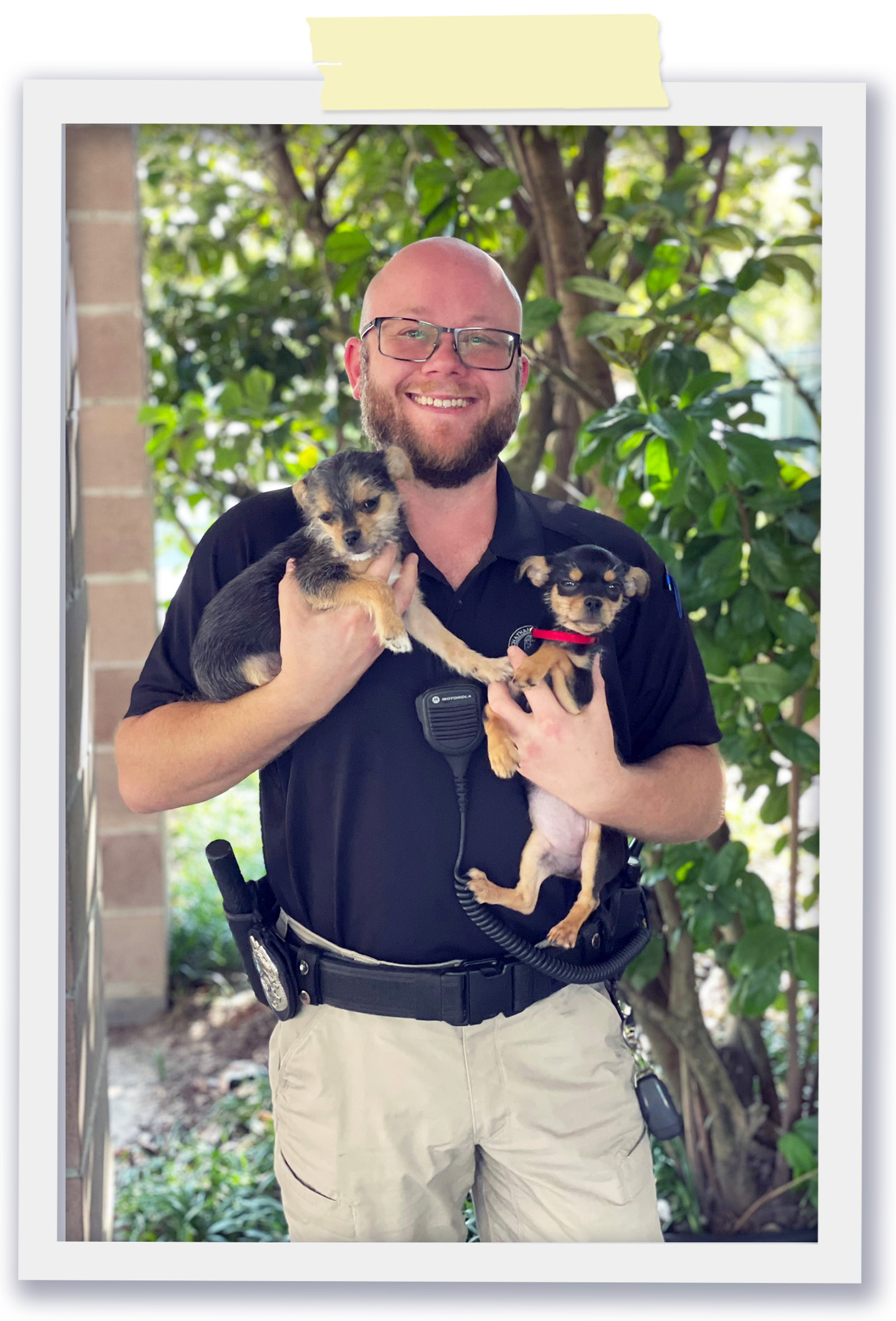 Animal Services Officer with puppies