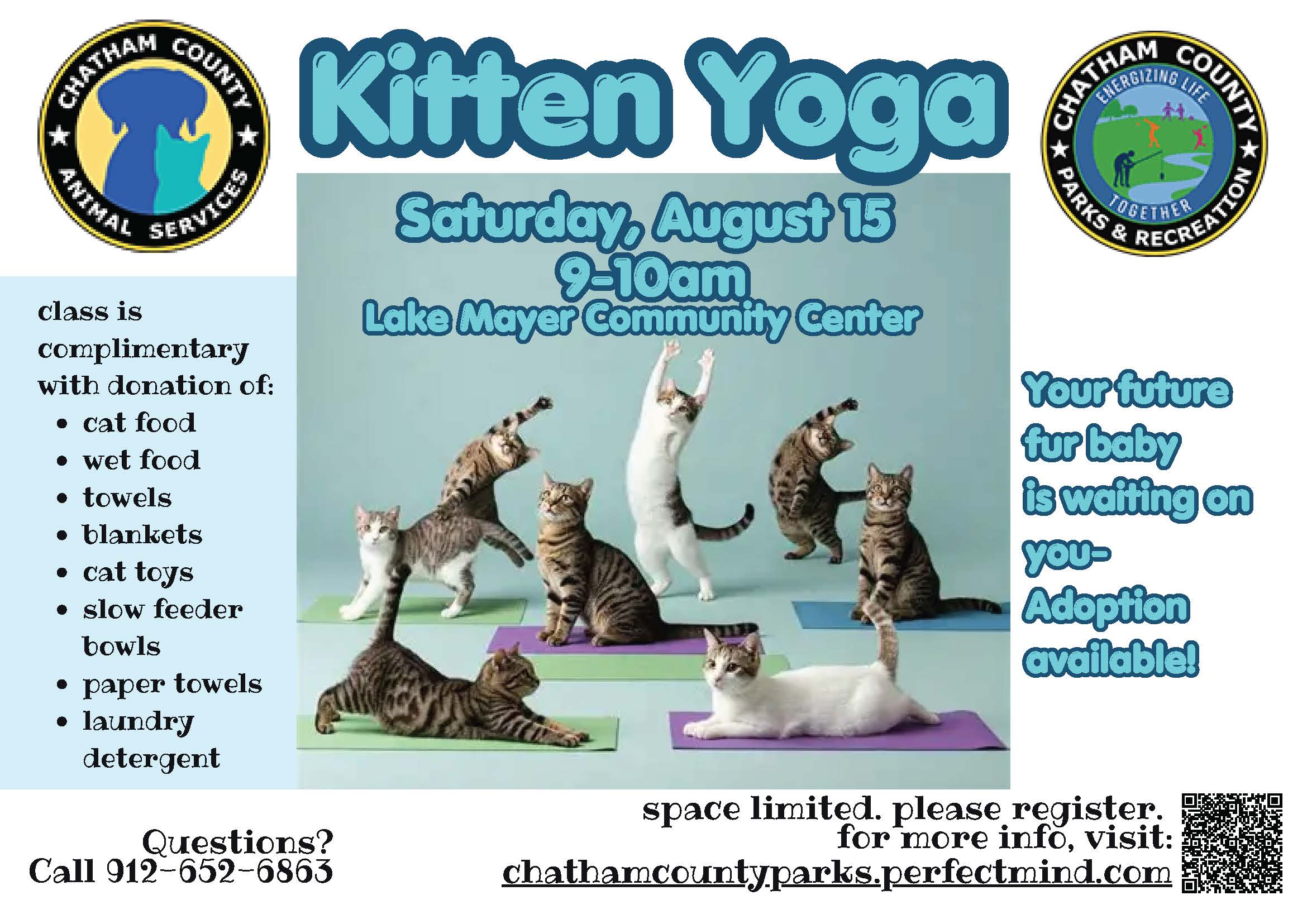 KittenYoga8.15.jpg