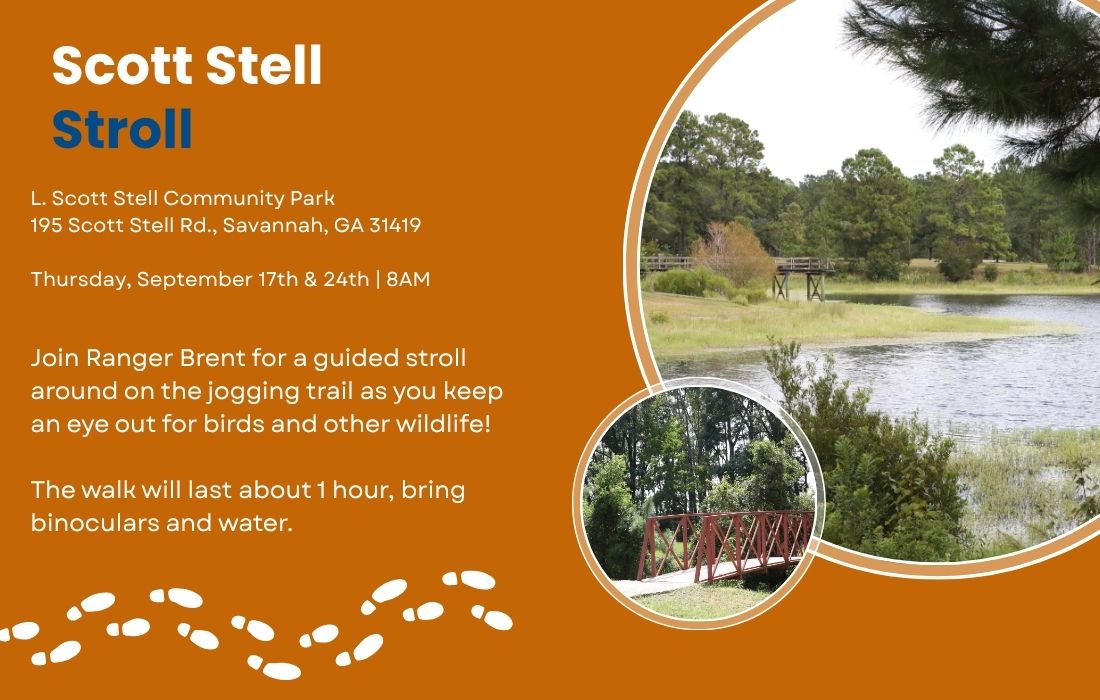 Scott Stell Stroll L. Scott Stell Community Park 195 Scott Stell Rd., Savannah, GA 31419 Thursday, September 17th & 24th | 8AM Join Ranger Brent for a guided stroll around on the jogging trail as you keep an eye out for birds and other wildlife! The walk will last about 1 hour, bring binoculars and water.