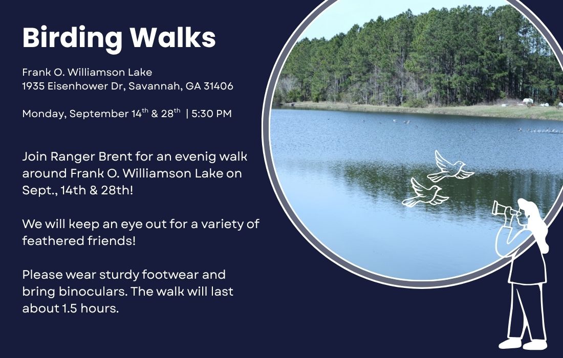 Birding Walks Frank O. Williamson Lake 1935 Eisenhower Dr, Savannah, GA 31406 Monday, September 14th & 28th | 5:30 PM Join Ranger Brent for an evenig walk around Frank O. Williamson Lake on Sept., 14th & 28th! We will keep an eye out for a variety of feathered friends! Please wear sturdy footwear and bring binoculars. The walk will last about 1.5 hours.